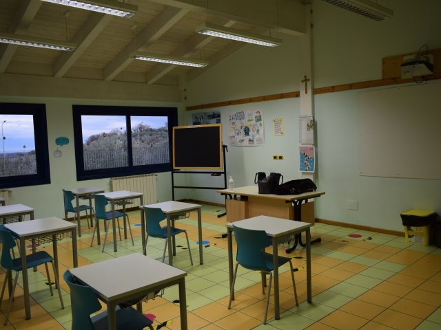 Sec Rotello 6